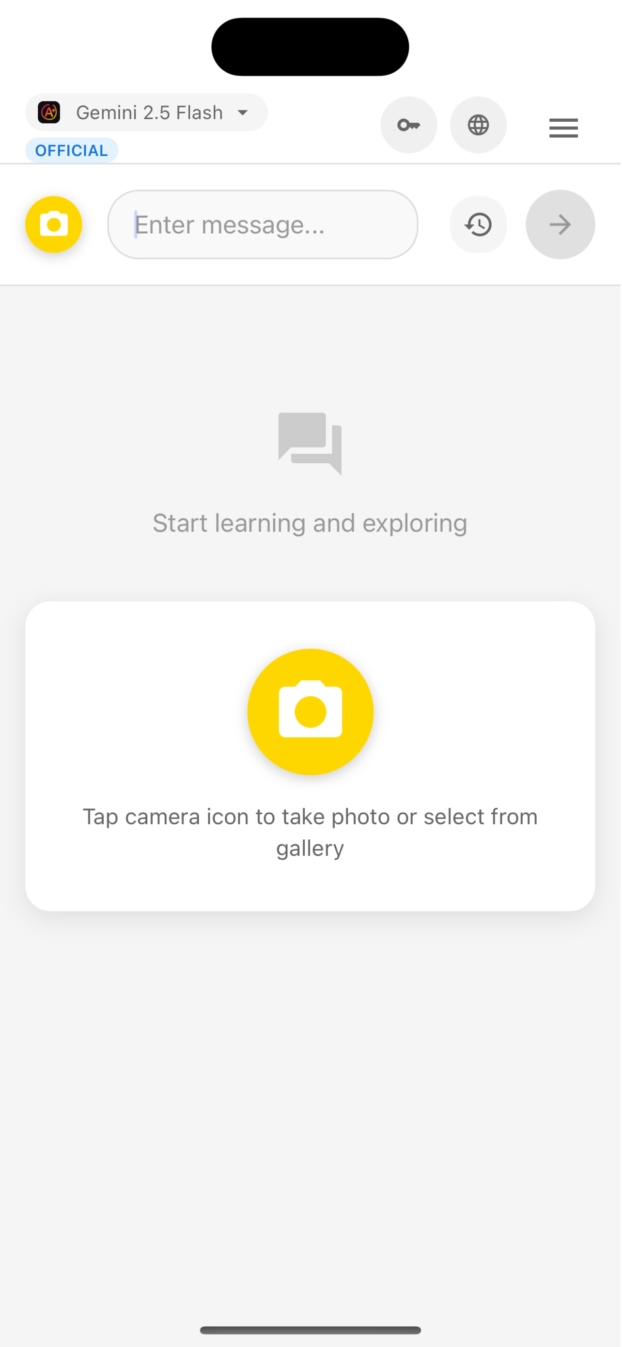 GG AI Ace App Interface